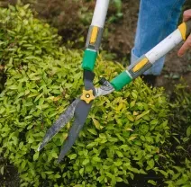 marcos-gardening-lawn-garden-maintenance