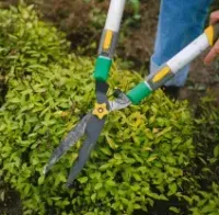 marcos-gardening-lawn-garden-maintenance