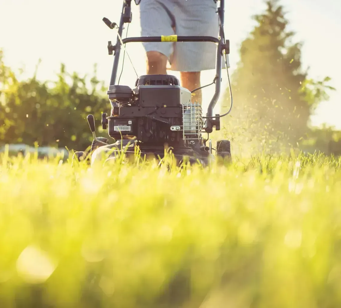 marcos-gardening-lawn-garden-maintenance-image