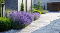marcos-gardening-landscaping-design-hardscape-image