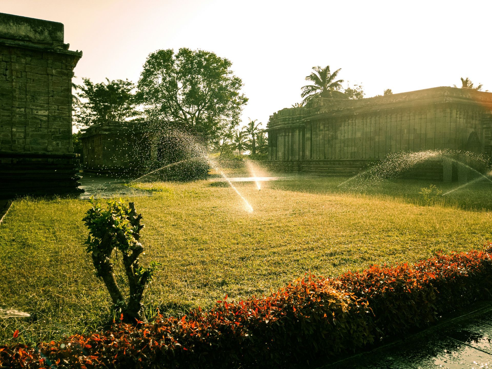 marcos-gardening-irrigation-service-image