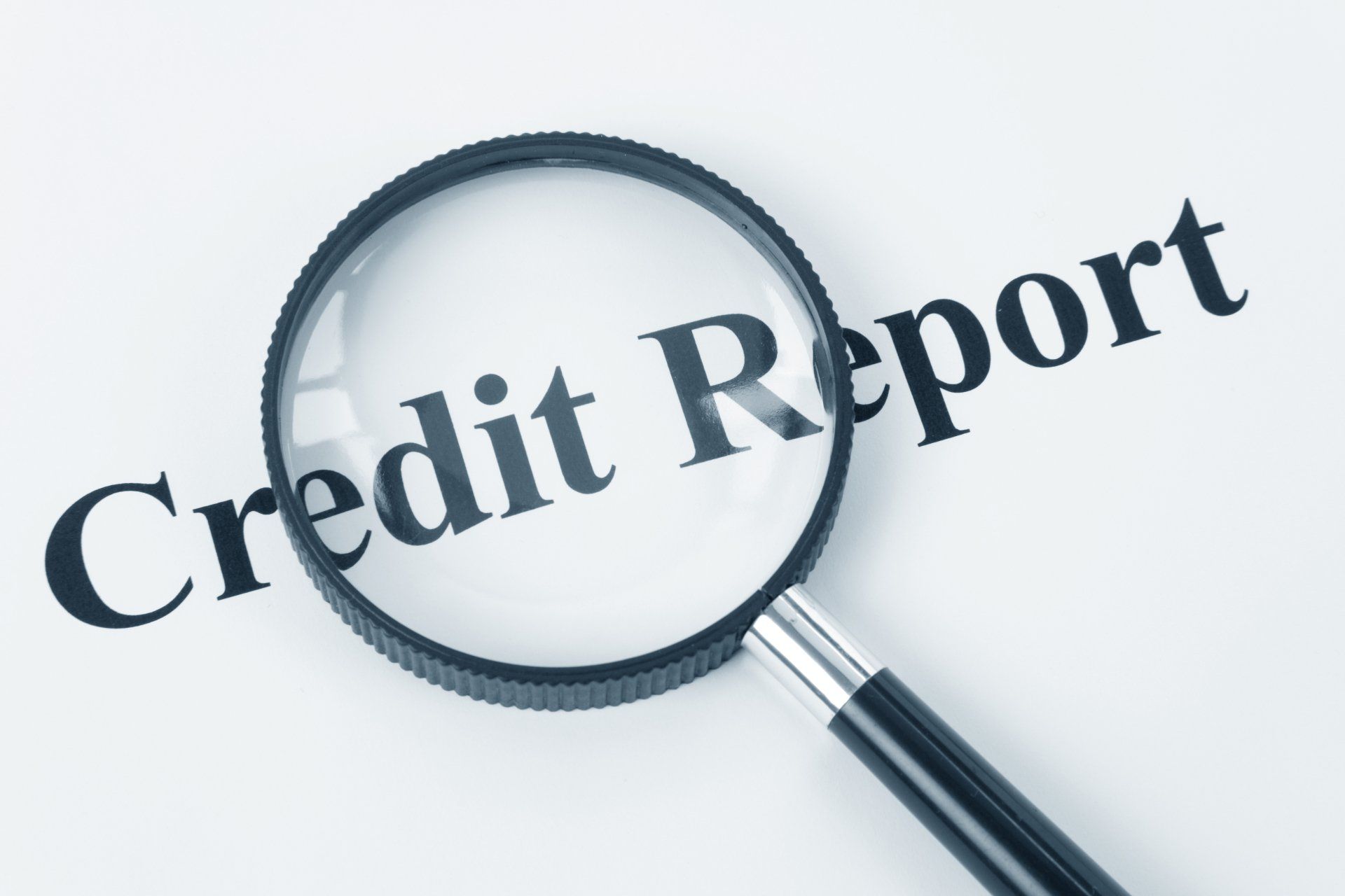 credit reports for Florida contractors from Contractors Reporting Services