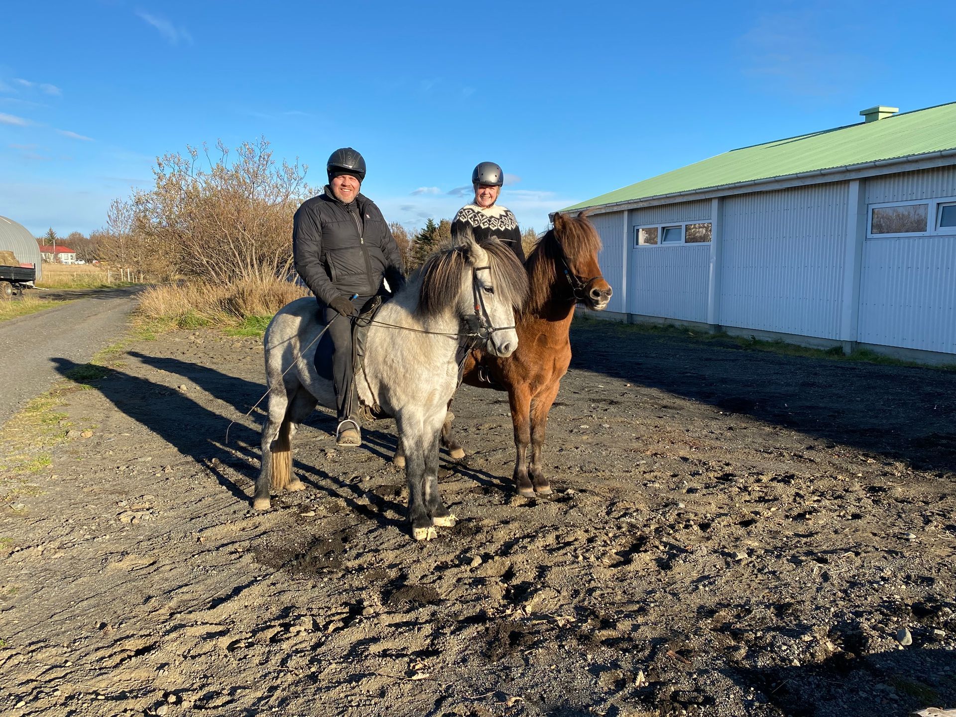 Winter in Áskot, horses close by.