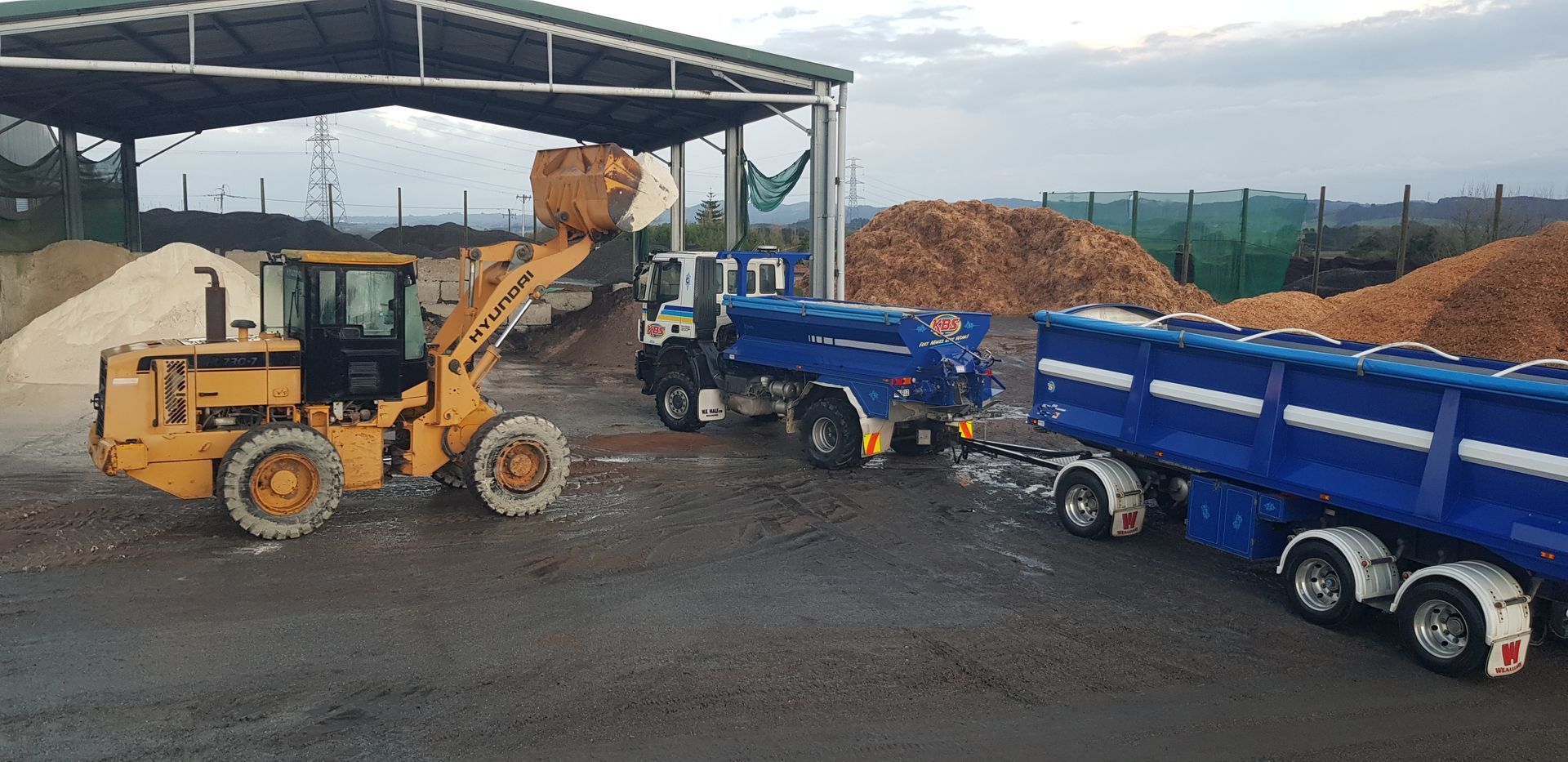 A black and yellow lawn mower is parked in the grass.