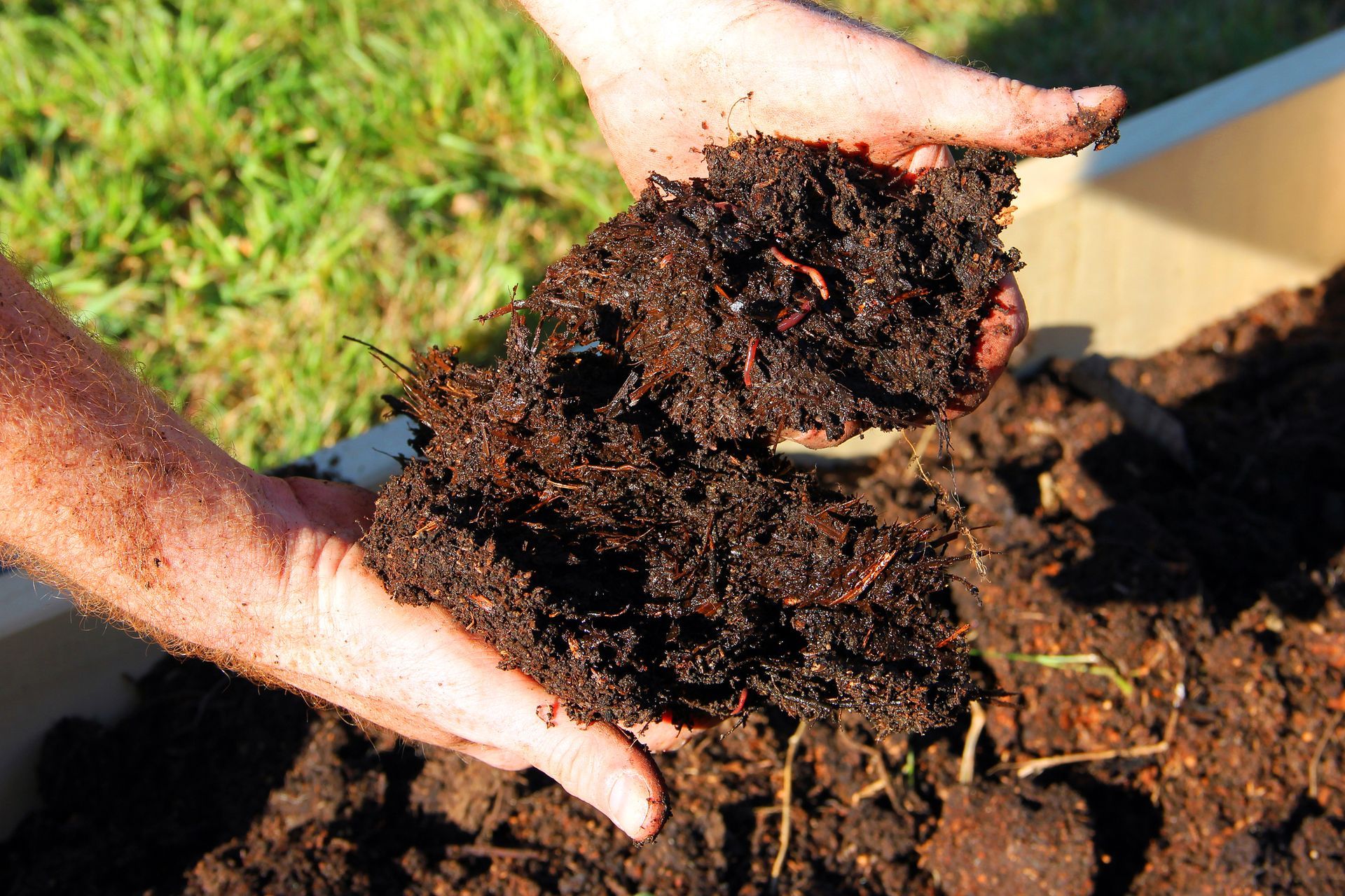 A person is holding a pile of dirt in their hands