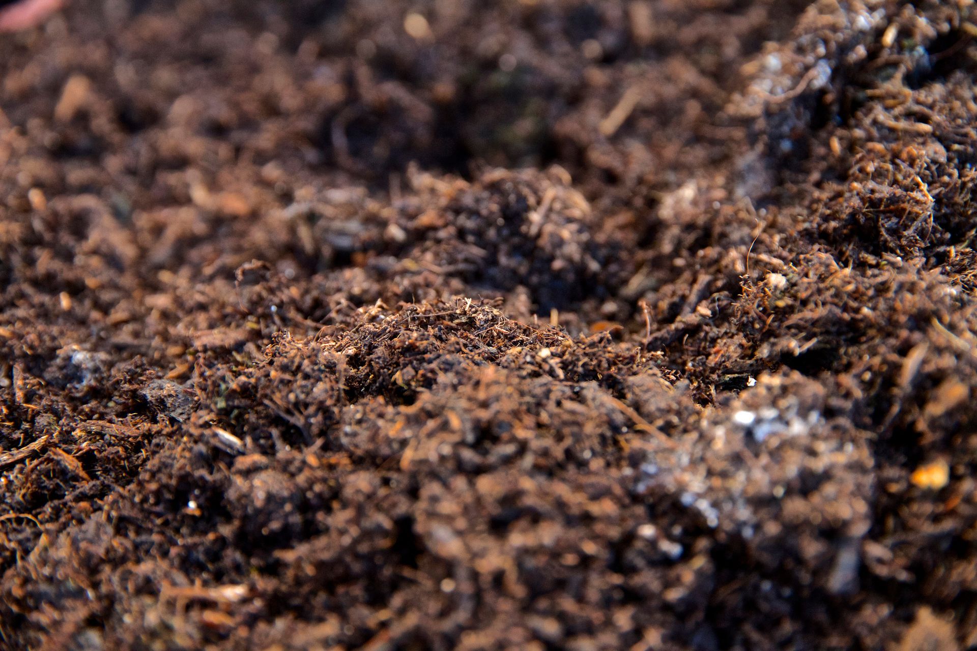 A close up of a pile of brown soil.