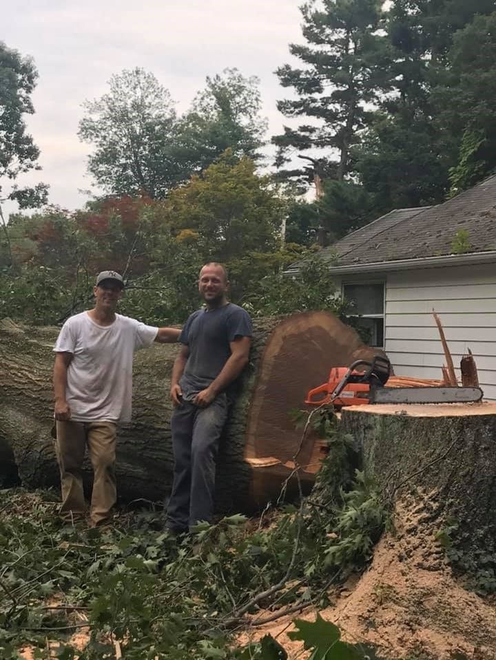Two Men are Standing Next to a Large Tree Stump – Carmel, NY – Jimmy Trees