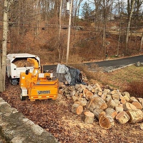 Pile of Logs – Carmel, NY – Jimmy Trees