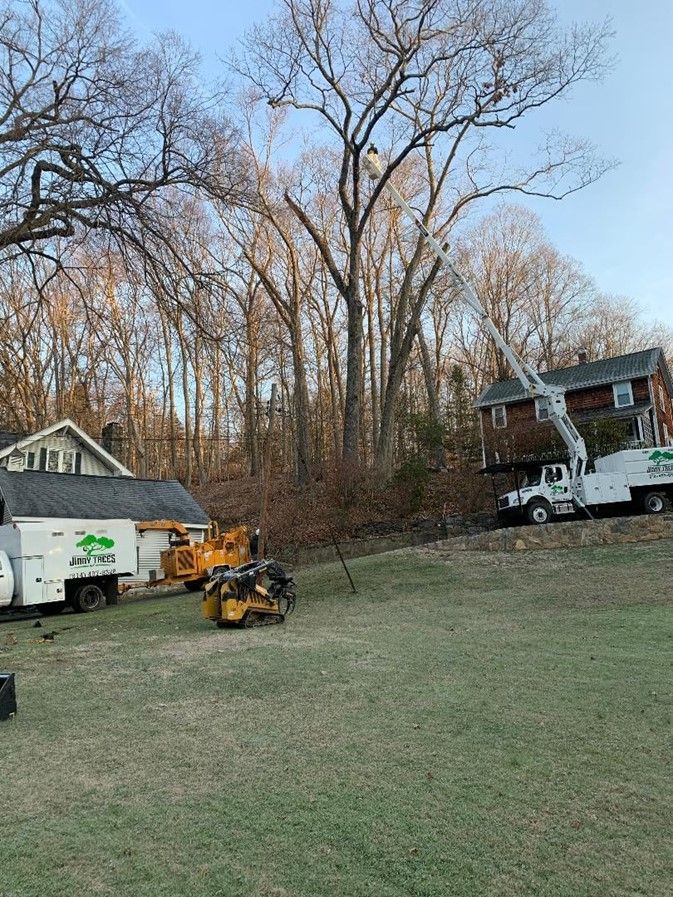 Group of Trucks is Parked in a Yard – Carmel, NY – Jimmy Trees