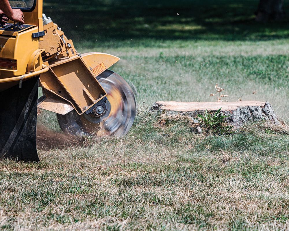 Stump Grinding – Carmel, NY – Jimmy Trees