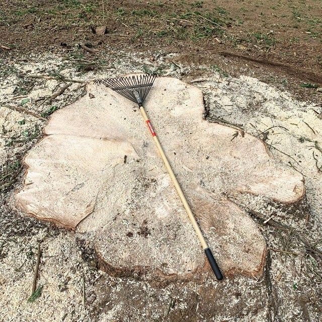 Man is Cutting Down a Tree – Carmel, NY – Jimmy Trees