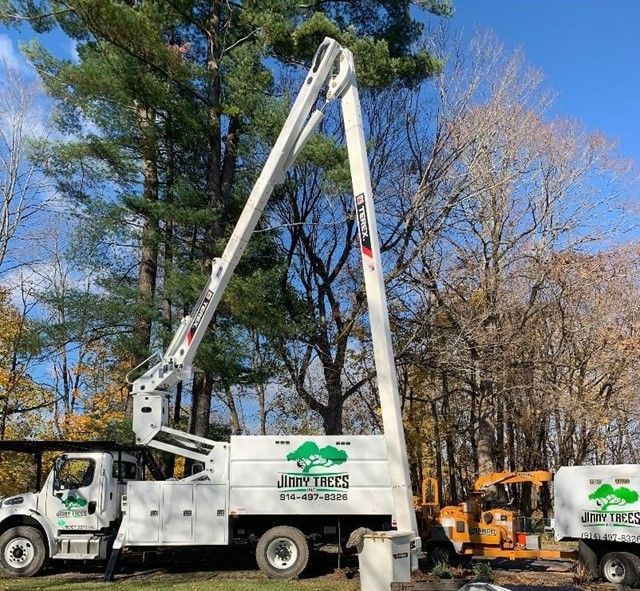 Worker is Cutting Tree Using Saw – Carmel, NY – Jimmy Trees
