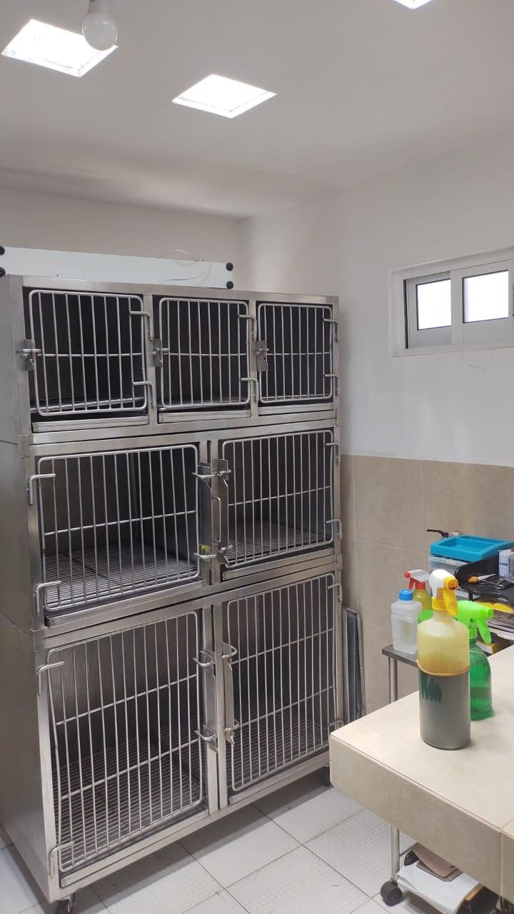 HOSPITAL VETERINARIO SAN FELIPE