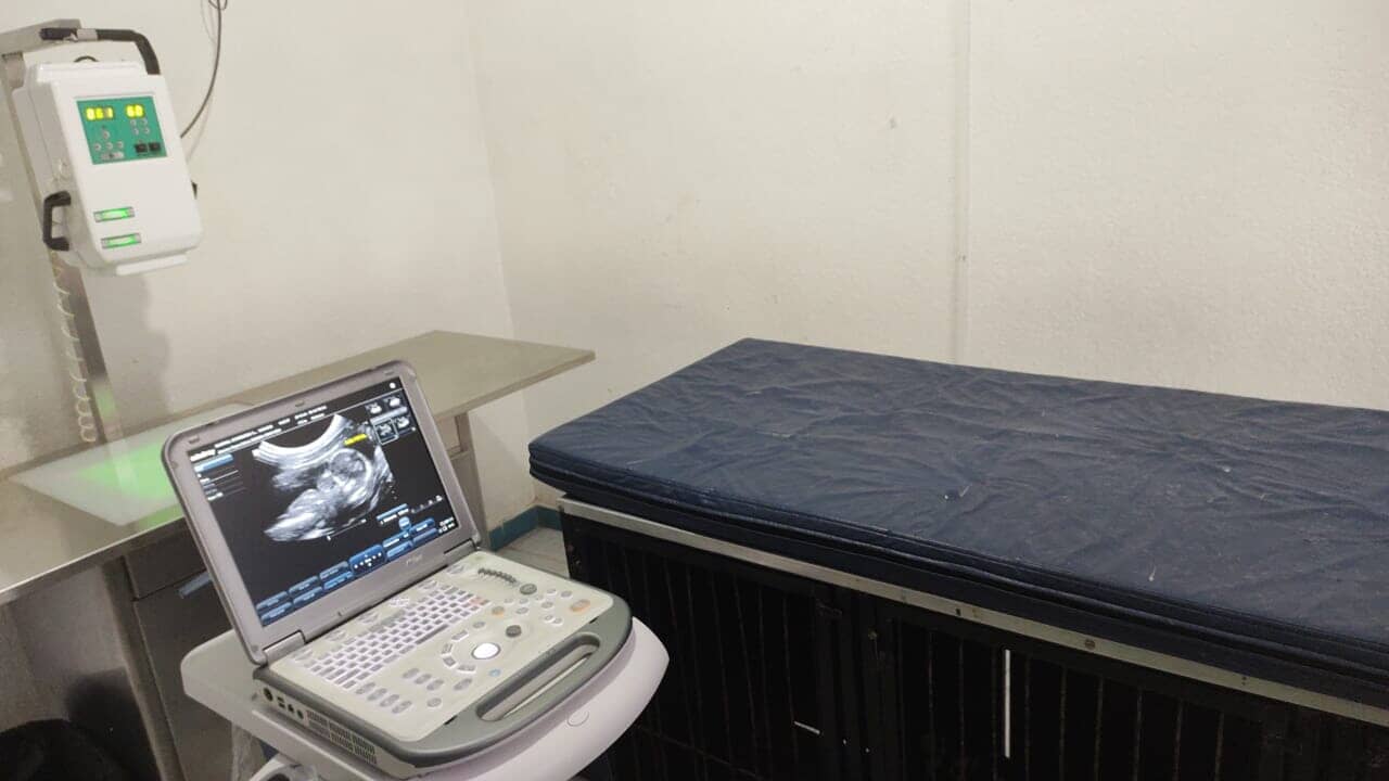 HOSPITAL VETERINARIO SAN FELIPE