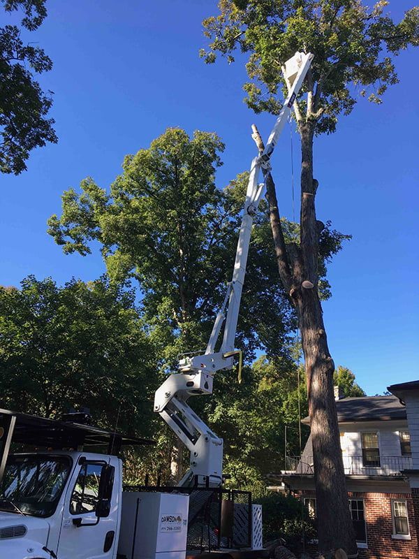 A crane is cutting a tree in front of a house.