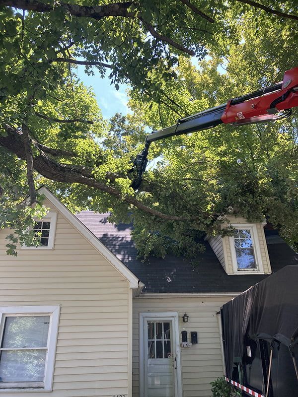 A crane is lifting a tree branch from the roof of a house.