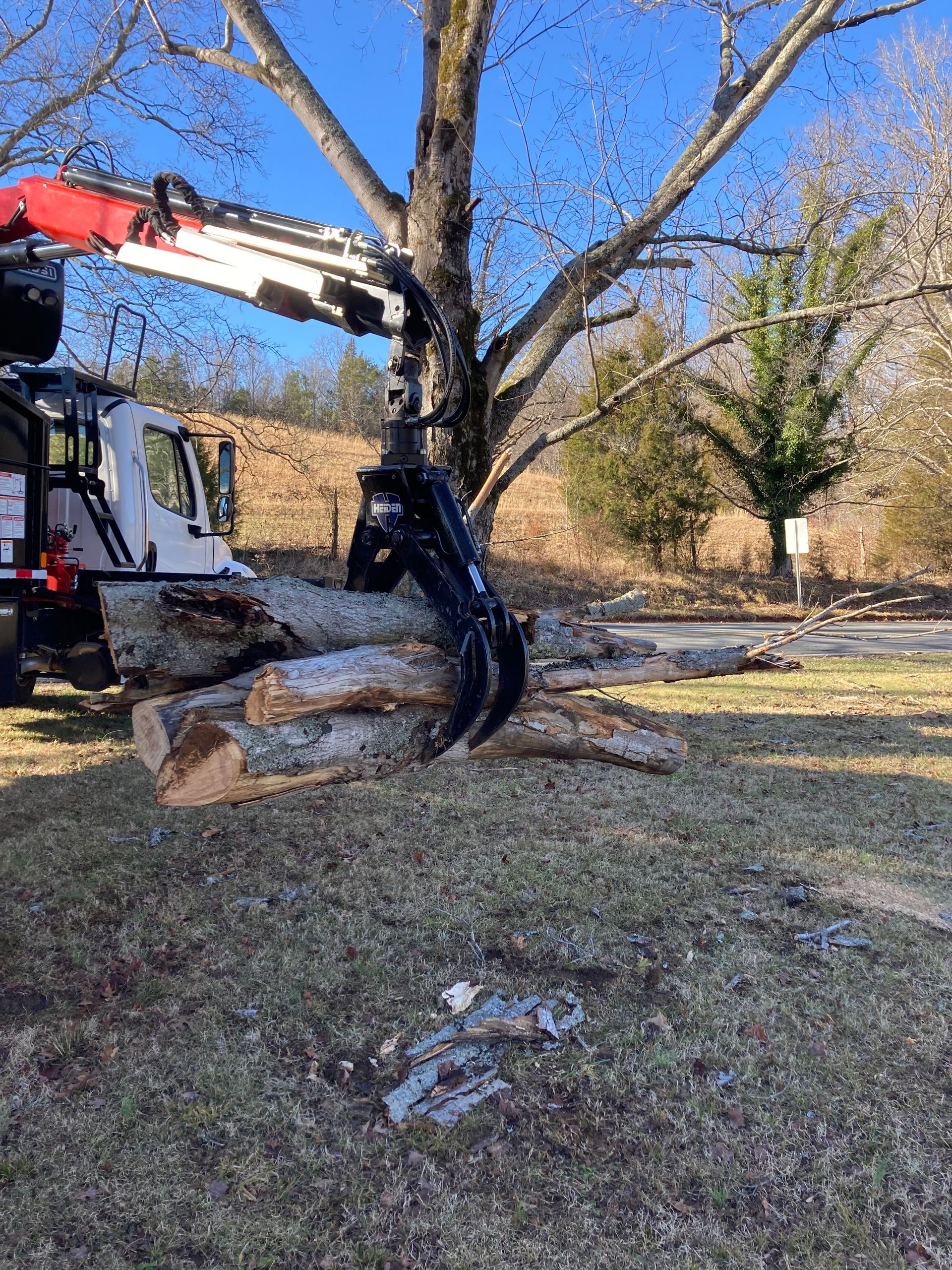 A large pile of logs is being lifted by a crane.