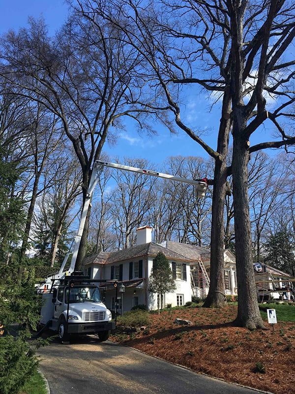 A tree trimming truck is parked in front of a house.