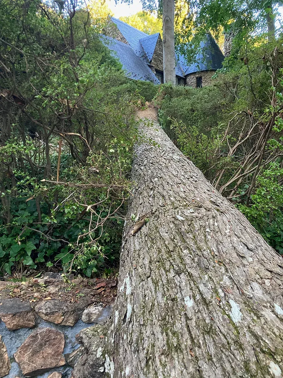 A large tree trunk is laying on the ground in front of a house.