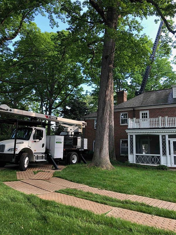 A tree trimming truck is parked in front of a house.