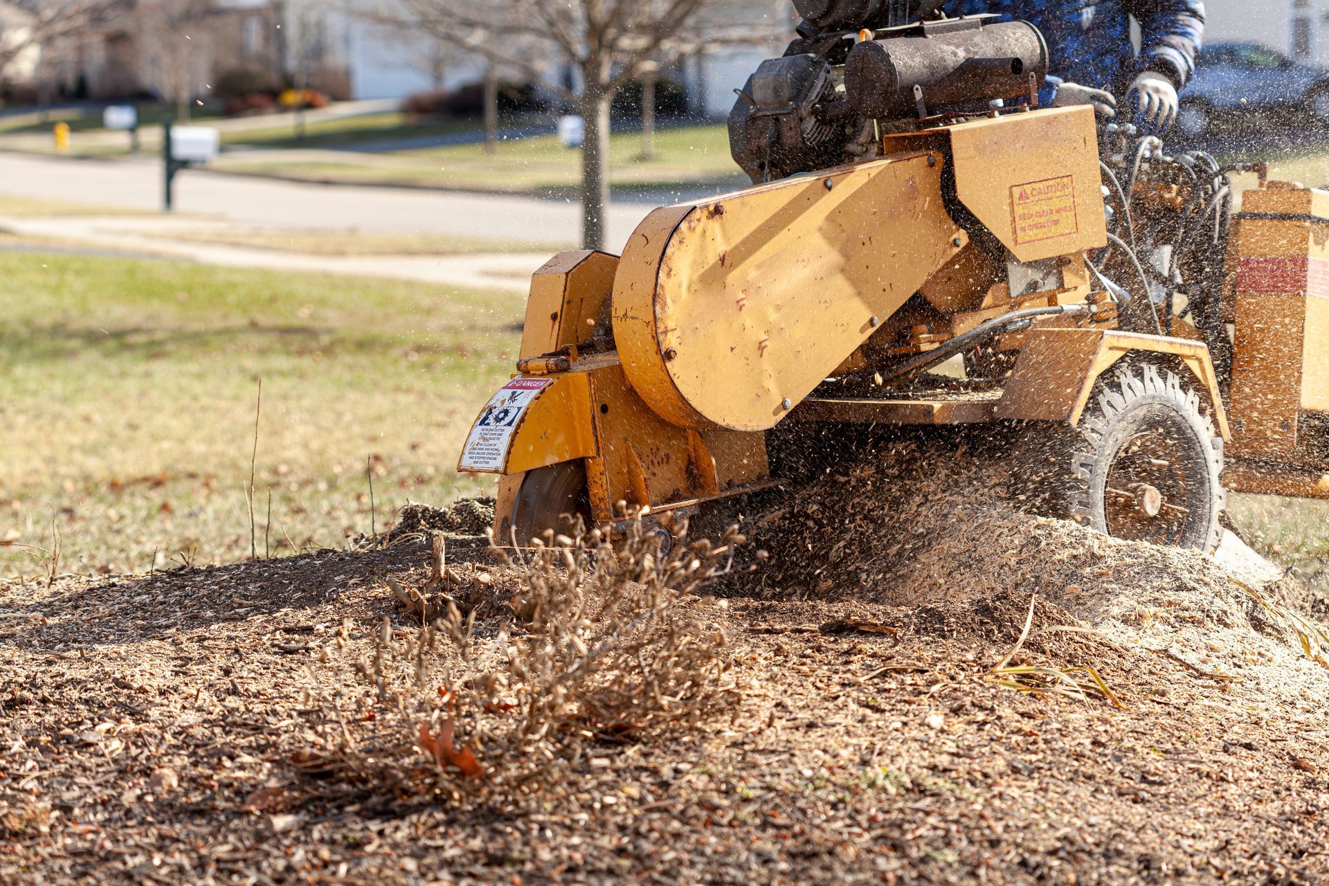 A man is using a stump grinder to remove a tree stump.