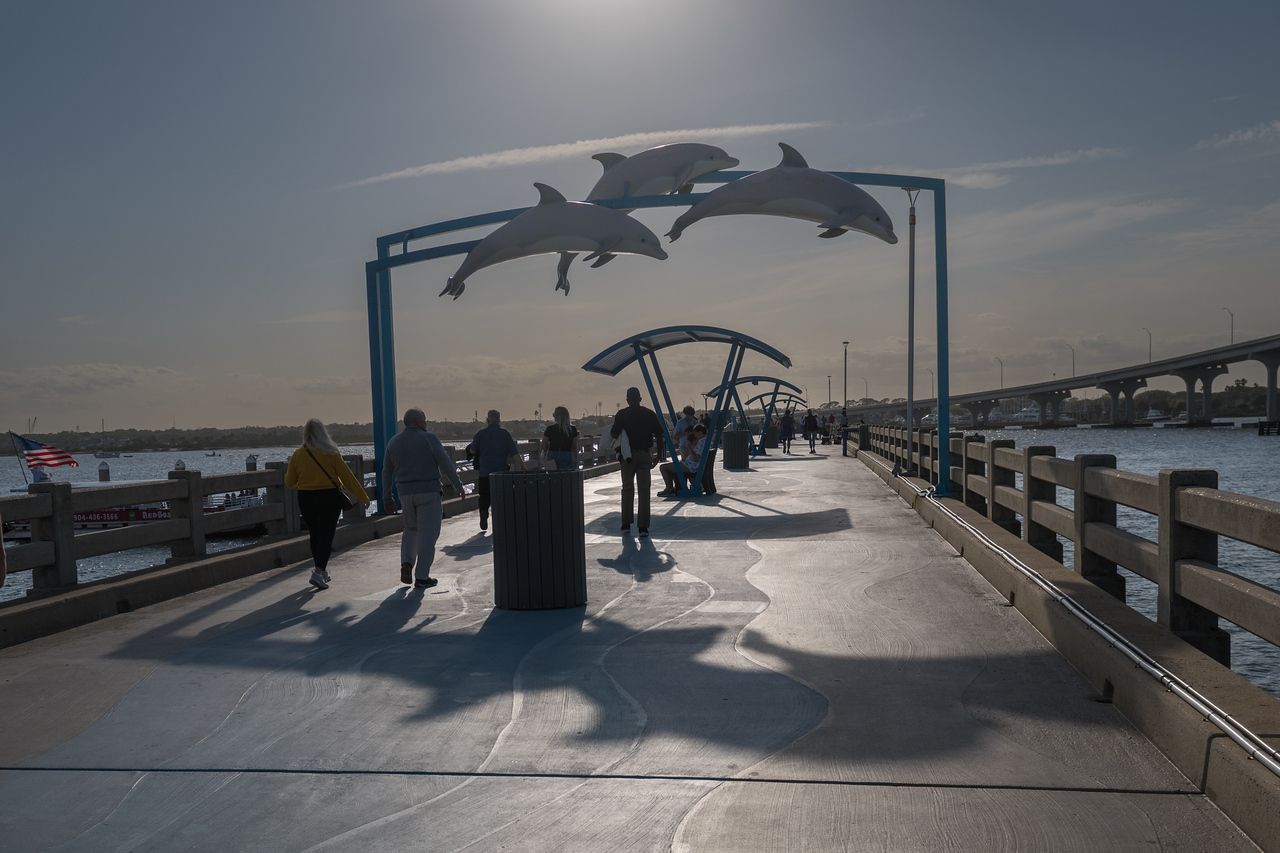 A group of people are walking along a pier with dolphins on it.