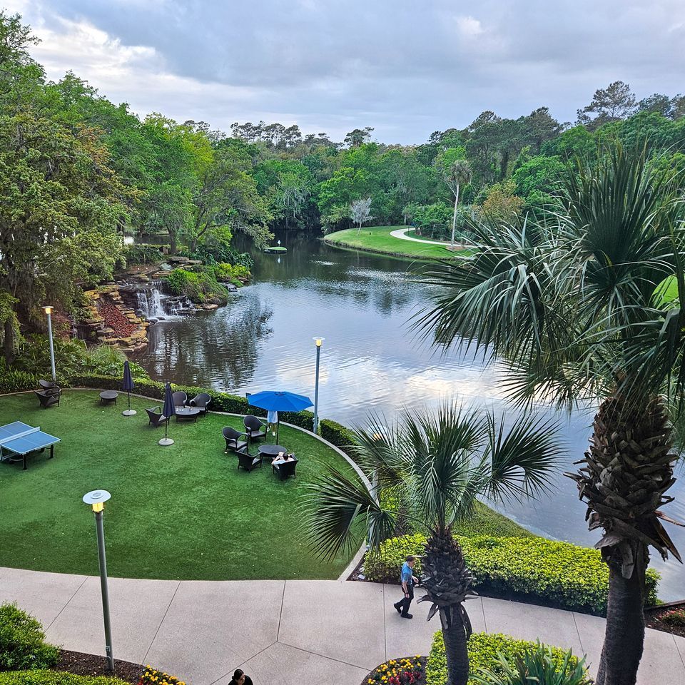 An aerial view of a lake surrounded by trees and palm trees