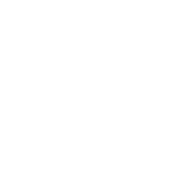 Rise To Shine Cleaning Services Logo