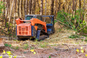 A bulldozer is cutting down trees in the woods.