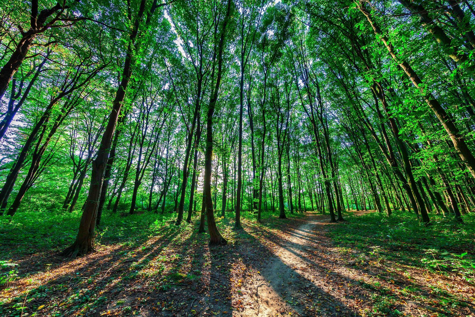 Woman with blonde hair, resting hands on chin, looking away, in front of a bookshelf.