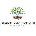 Logo for Branch Management Tree Service: tree with roots, branches and leaves, name and service description.