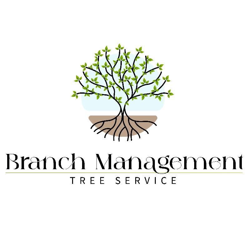 Logo for Branch Management Tree Service: tree with roots, branches and leaves, name and service description.
