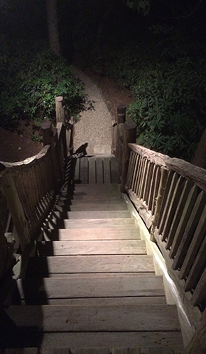 Wooden staircase leading down to a path in a dimly lit outdoor setting