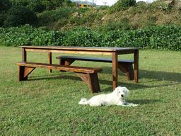 Dog rests on grass in front of a wooden picnic table and bench in a grassy field