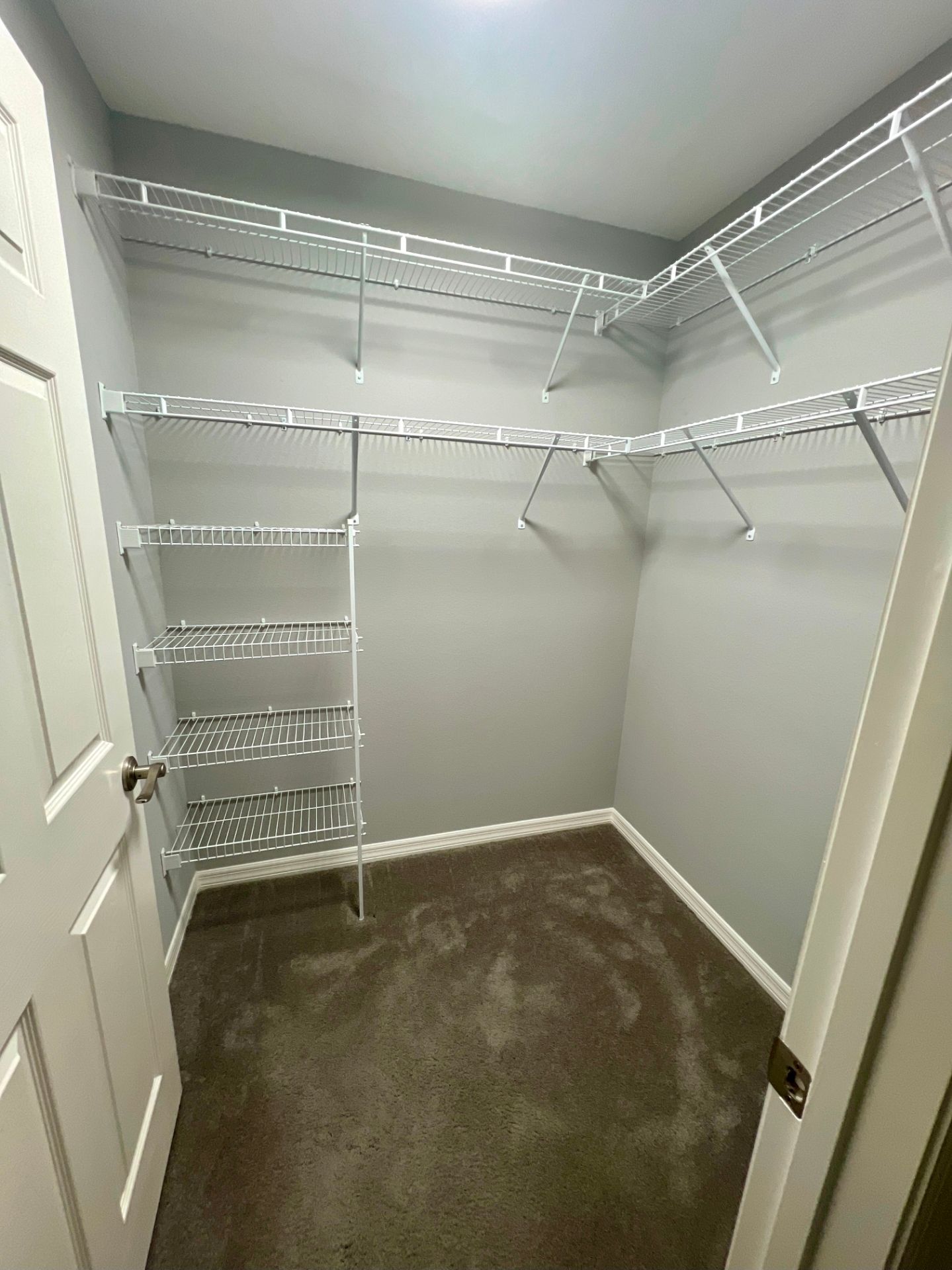 A small, empty walk-in closet with grey walls, dark carpet, and white wire shelving units.