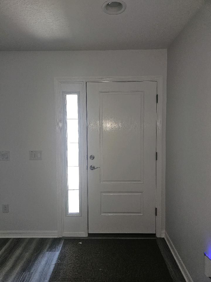 White front door with sidelight, dark doormat, light-colored walls, and a wood-look floor.
