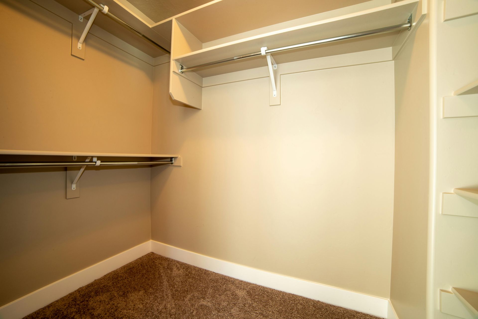 An empty walk-in closet featuring beige walls, tan carpeting, and tiered white shelving with metal clothing rods.