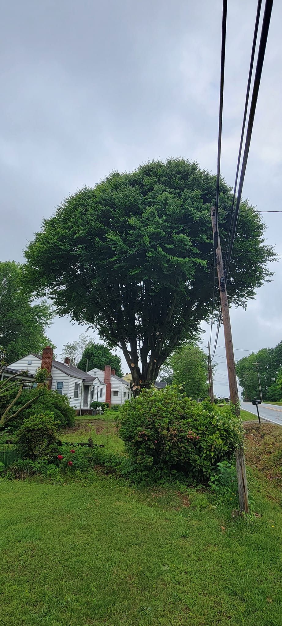 A red crane is sitting on top of a green trailer.