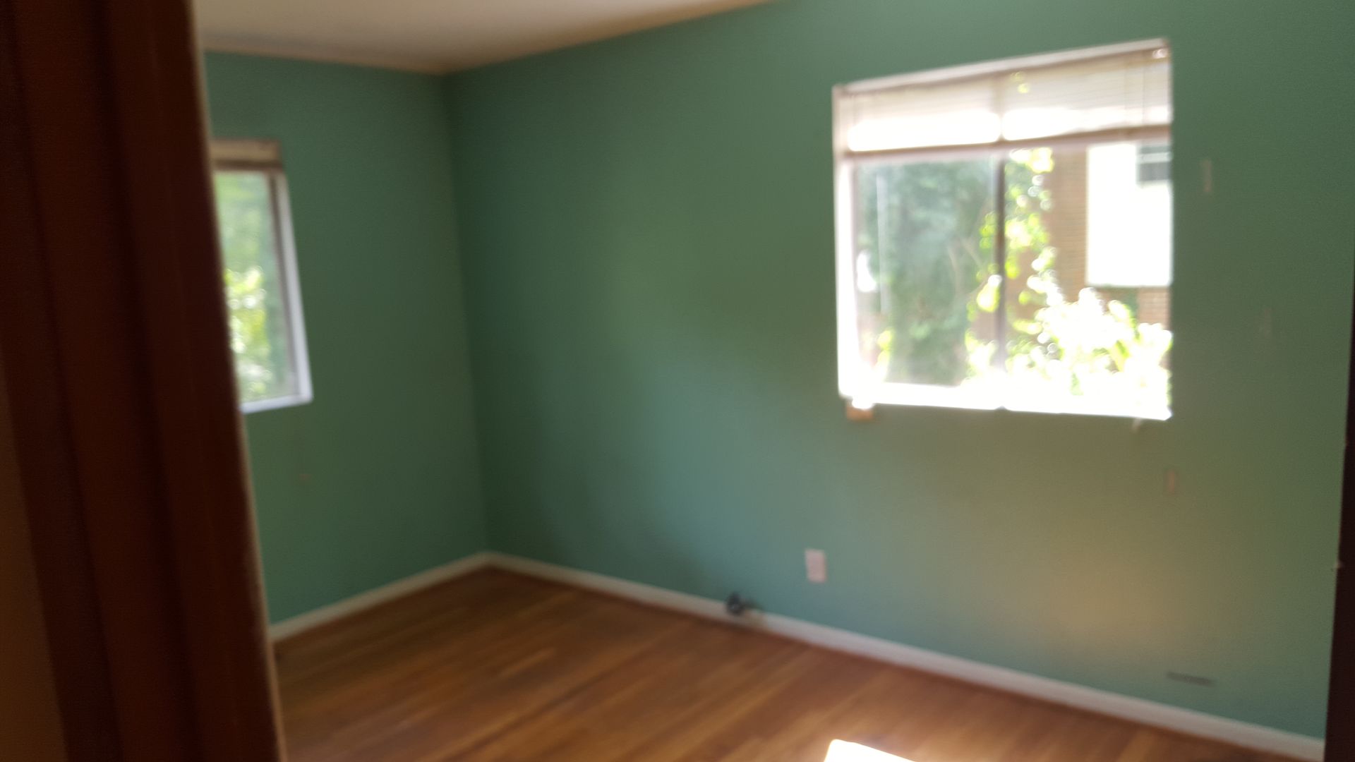An empty bedroom with light green walls, hardwood floors, and two windows with white blinds.
