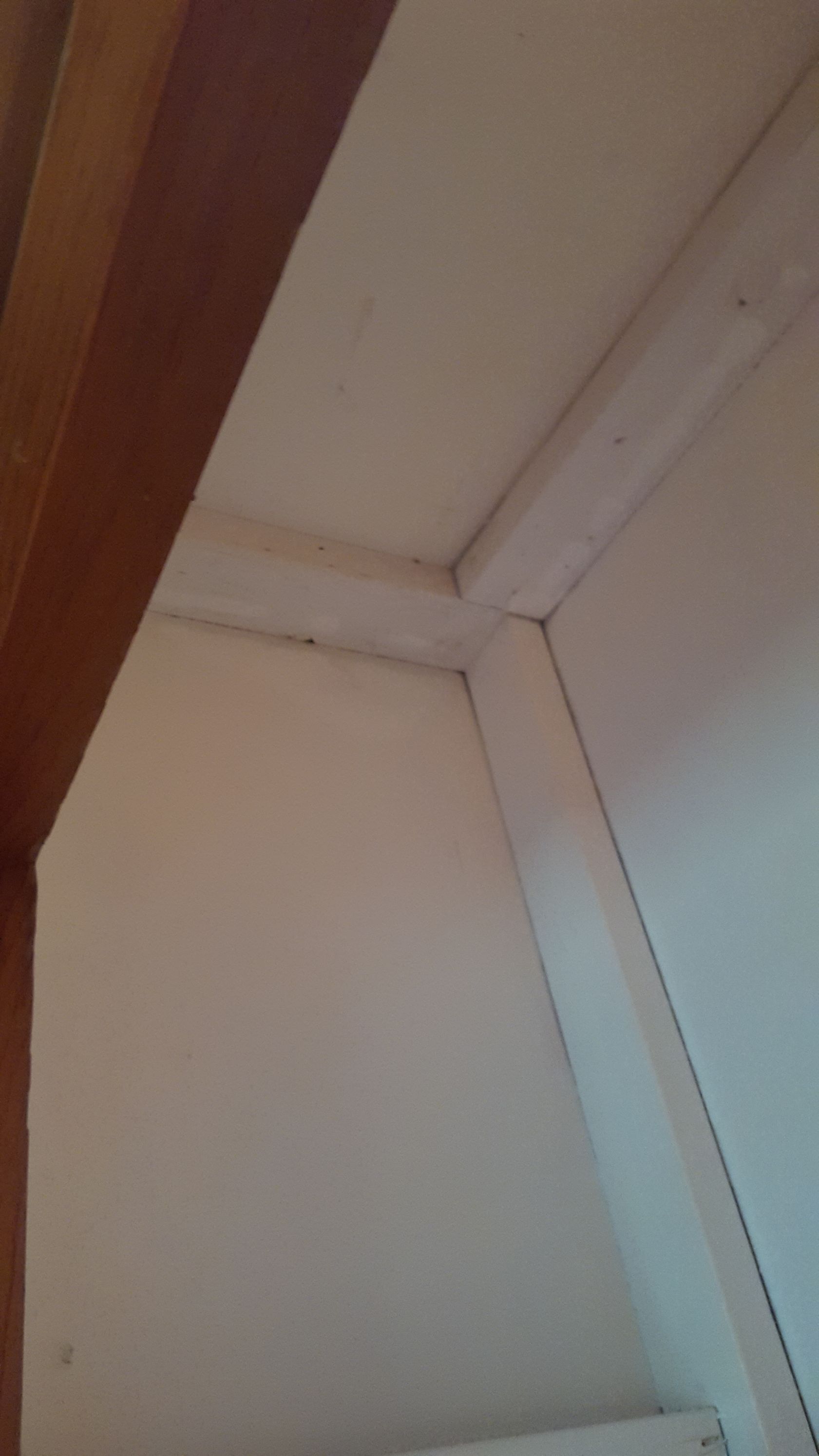 A close-up view of the white ceiling and upper wall corner, joined by wooden molding.