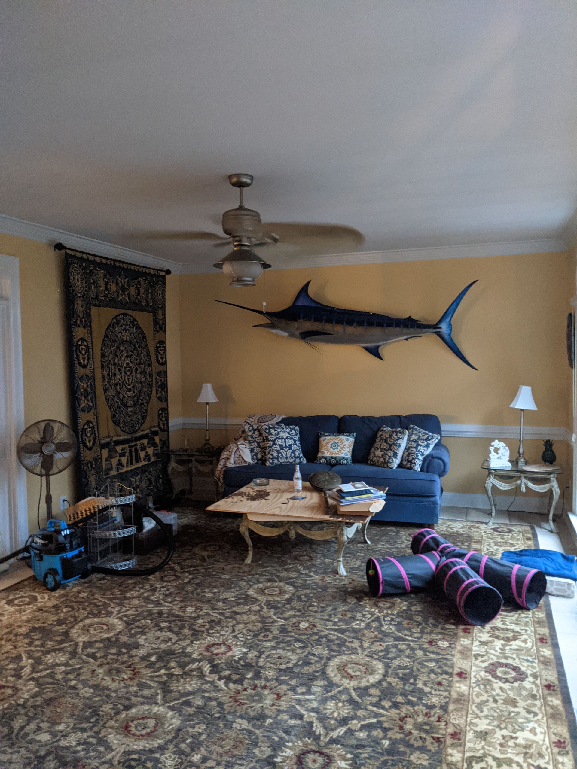 A living room with yellow walls, a blue sofa, a large marlin wall mount, an ornate rug, and a cat tunnel on the floor.