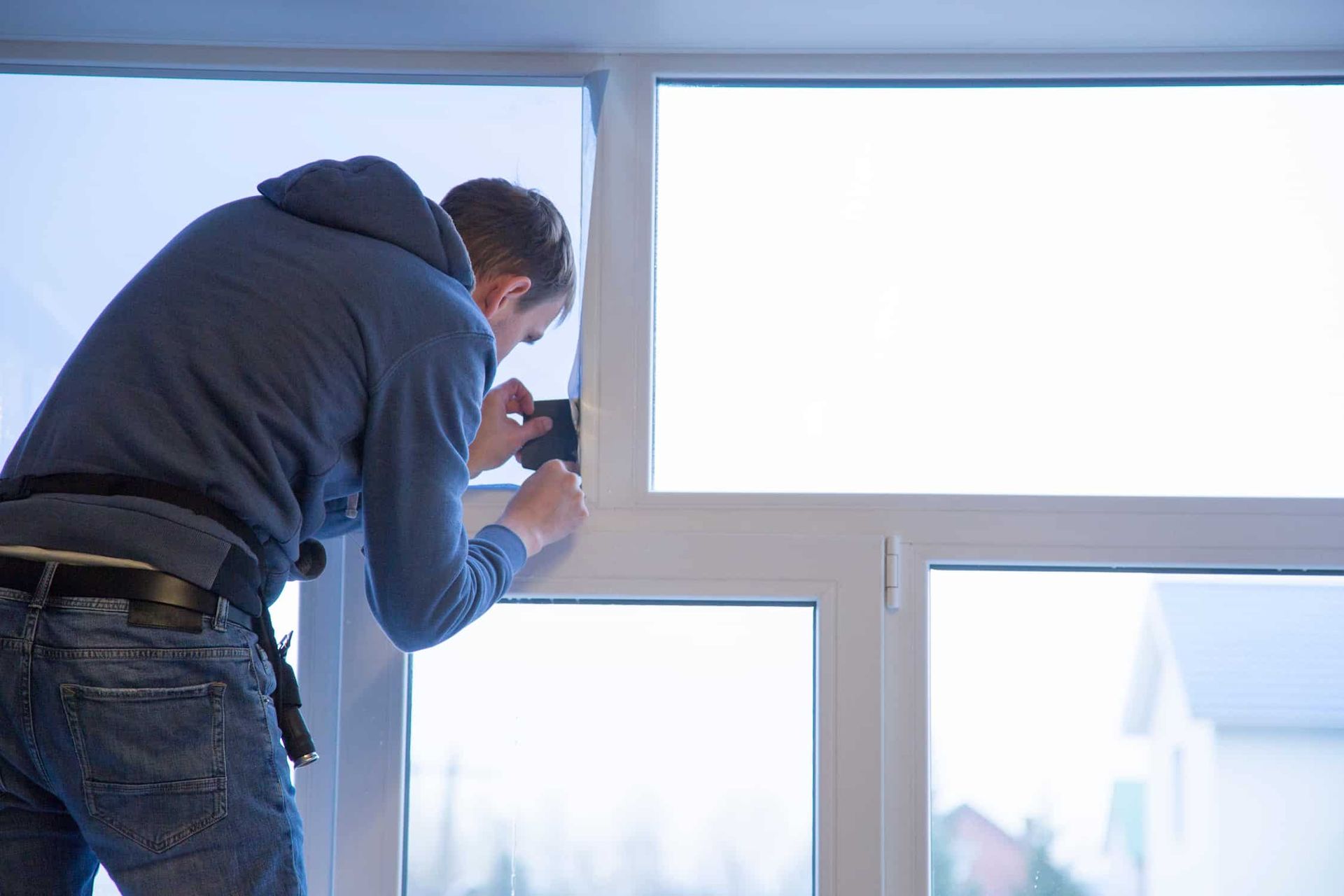 a Car With a Black Window is Parked in a Field With Trees in the Background — Total Tint Bendigo in East Bendigo, VIC