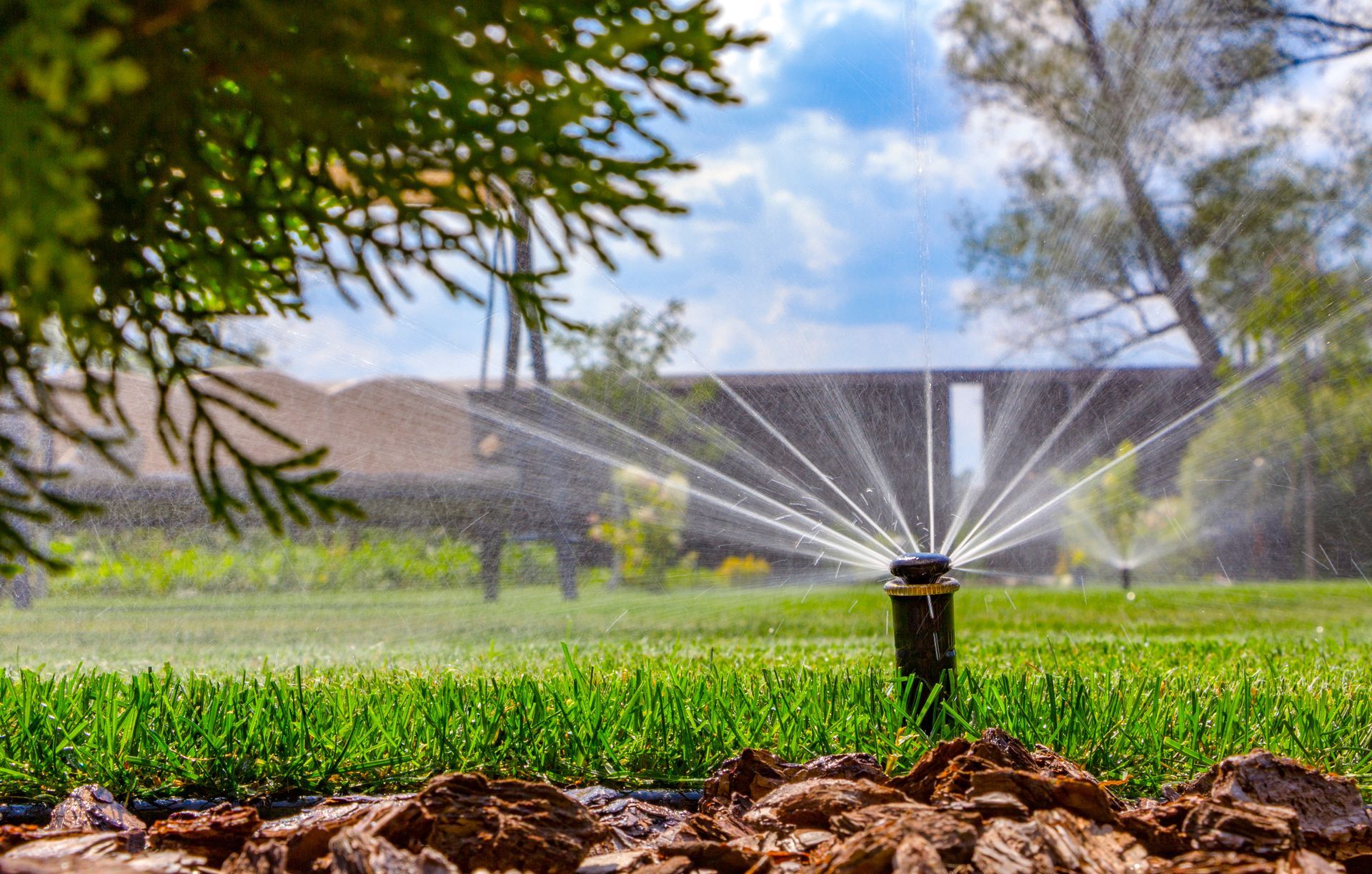 A lawn sprinkler is spraying water on a lush green lawn.
