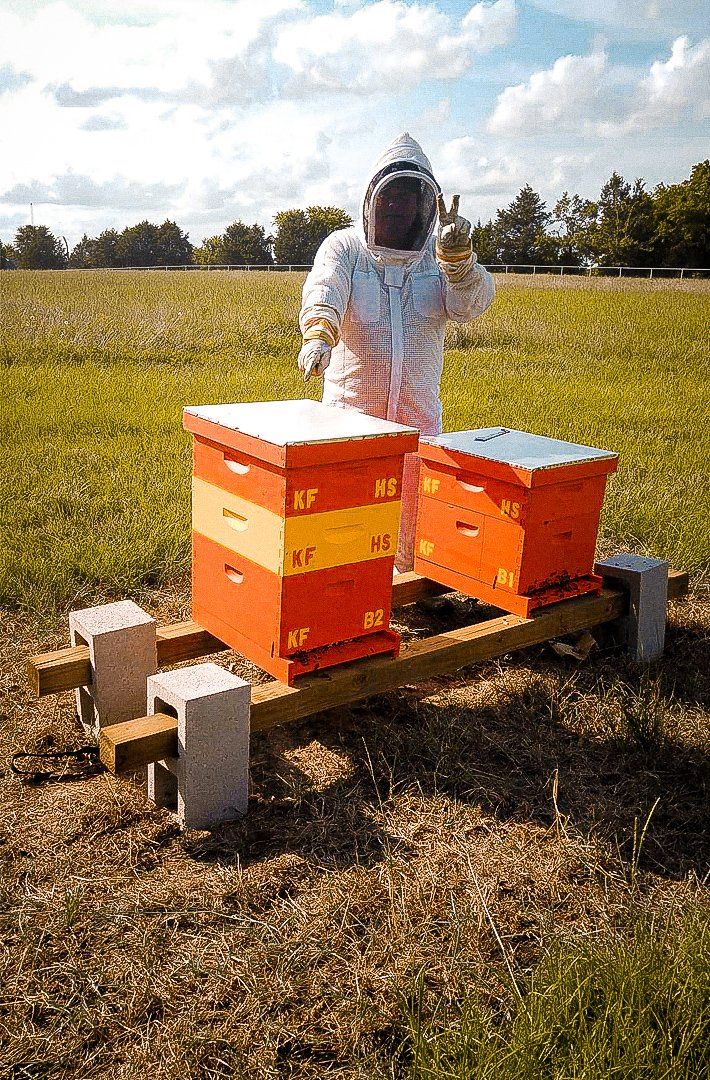 Honey Apple Farm beehives with a beekeeper
