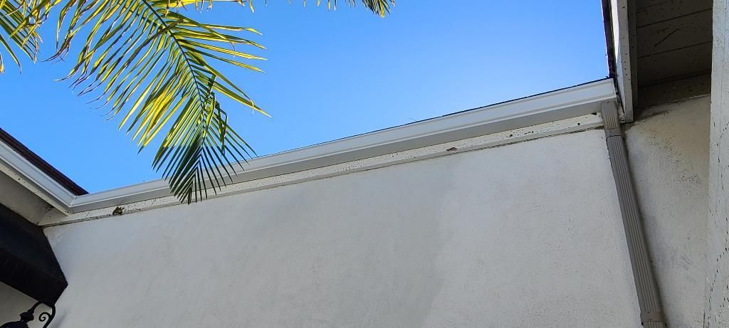 View up at a white building with a textured top and a clear blue sky with palm leaves.