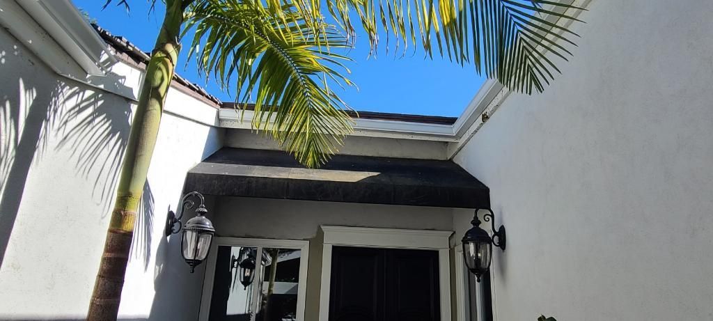 Exterior of a white building with black door, palm tree, and clear blue sky.
