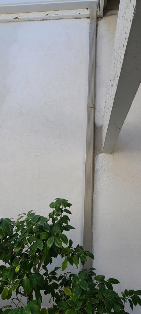 A white wall with a concrete support beam.  A leafy green plant is in the foreground.