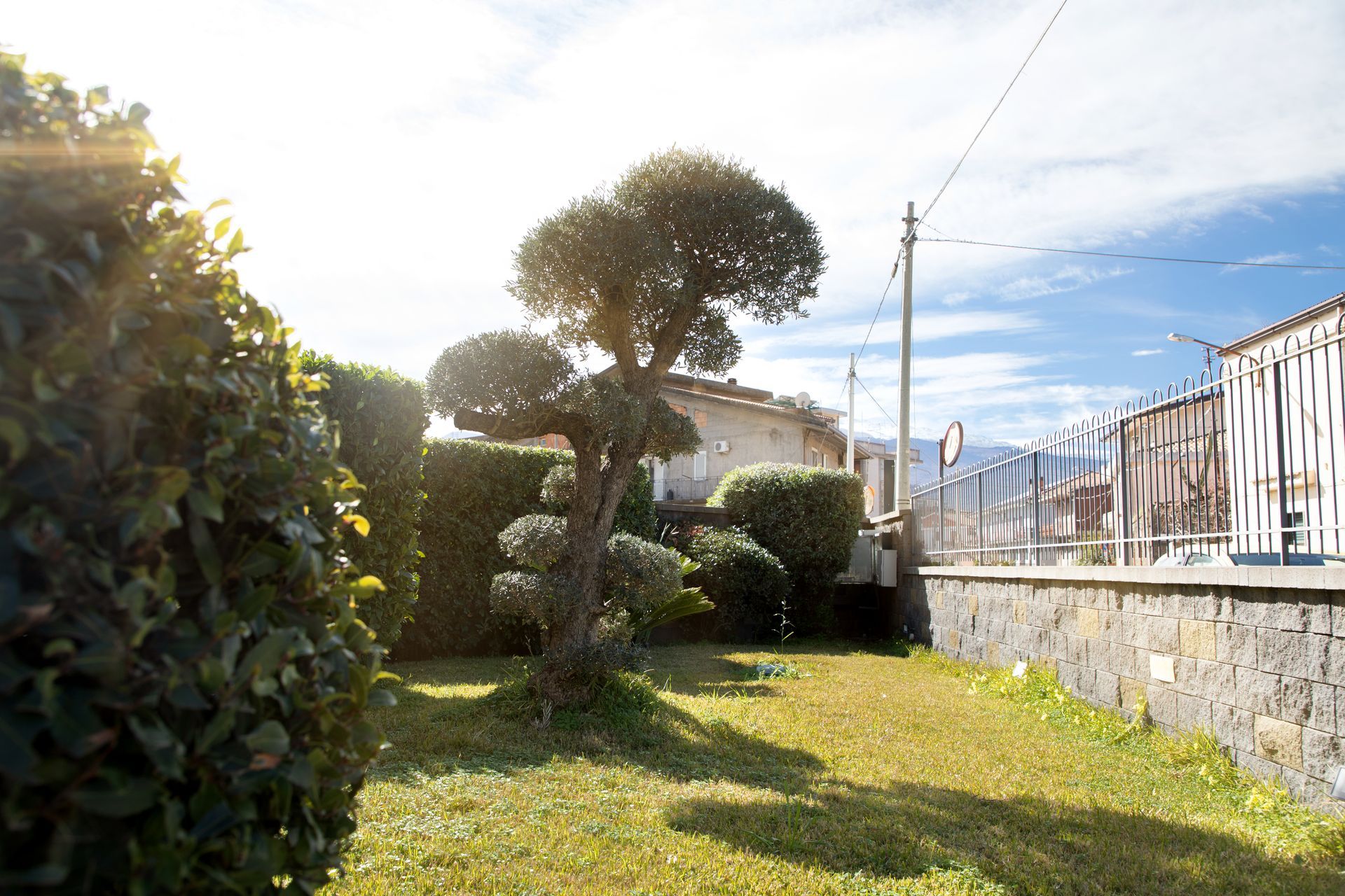 Giardino soleggiato con alberi scolpiti, siepi, erba, muro di pietra, linee elettriche e case sotto un cielo luminoso.