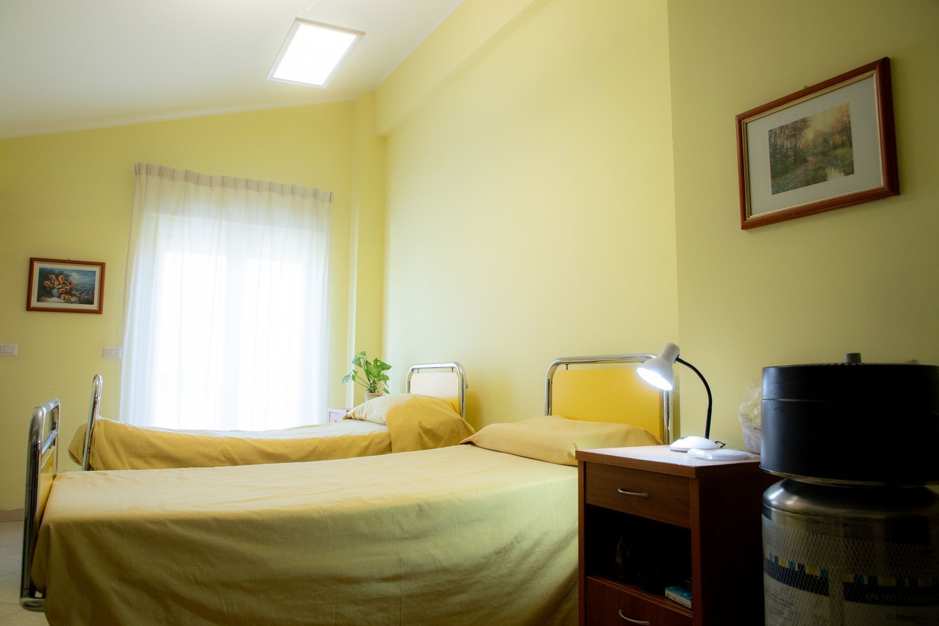 Due letti in una stanza con pareti gialle, una finestra e quadri incorniciati.