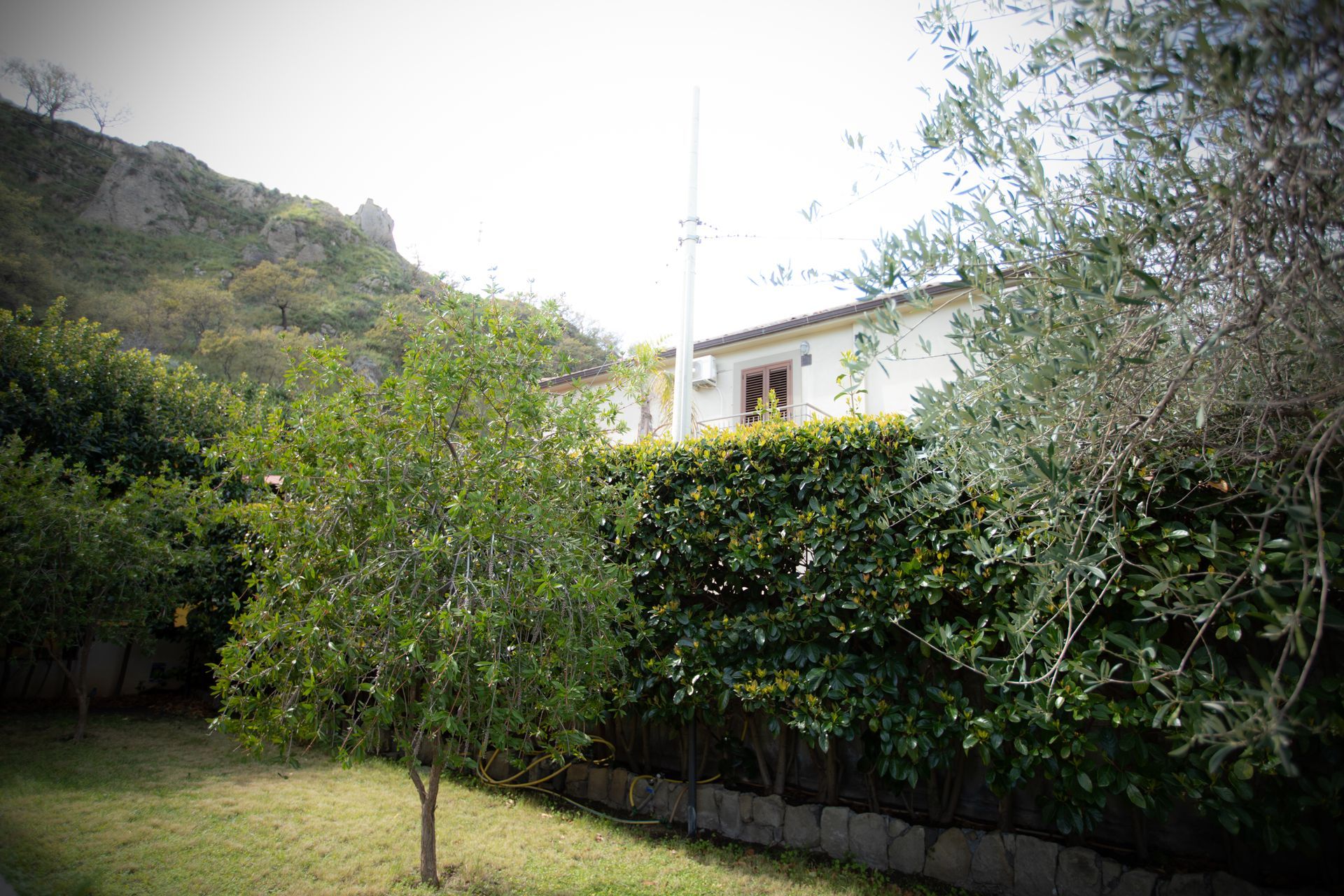 Edificio bianco incastonato dietro una siepe verde e alberi; sullo sfondo una montagna.